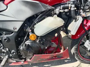 Kawasaki 2010 Red