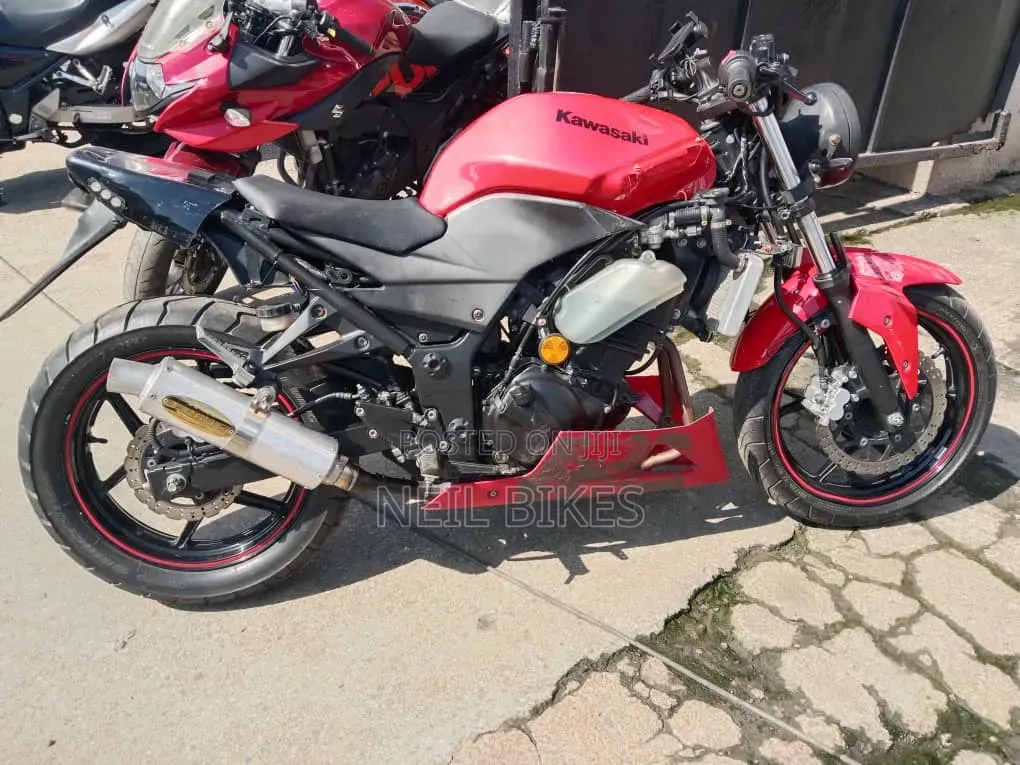 Kawasaki 2010 Red