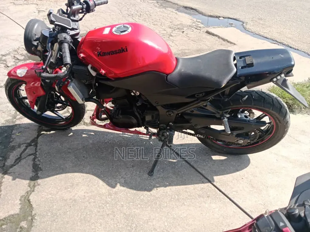 Kawasaki 2010 Red