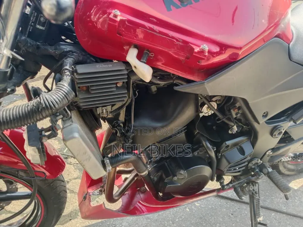 Kawasaki 2010 Red