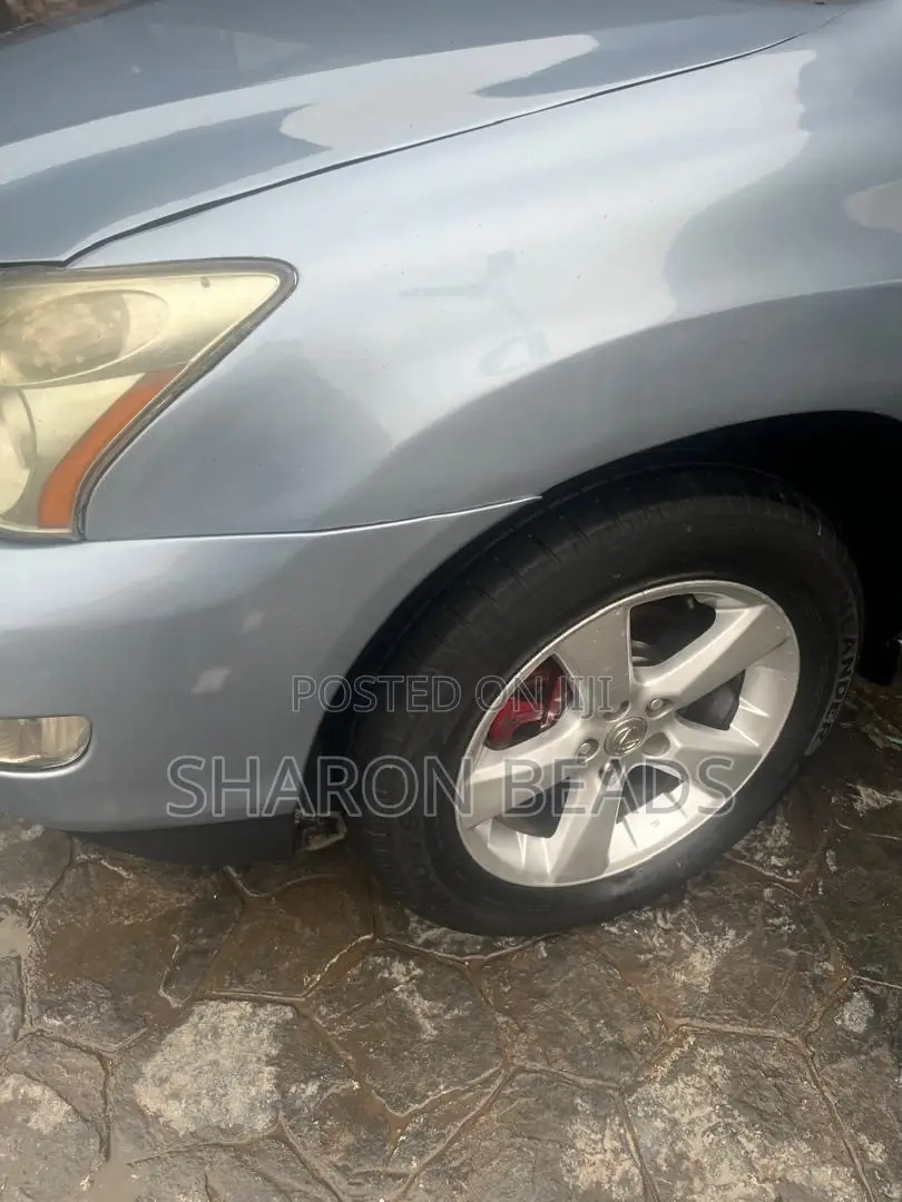 Lexus RX 2006 Blue