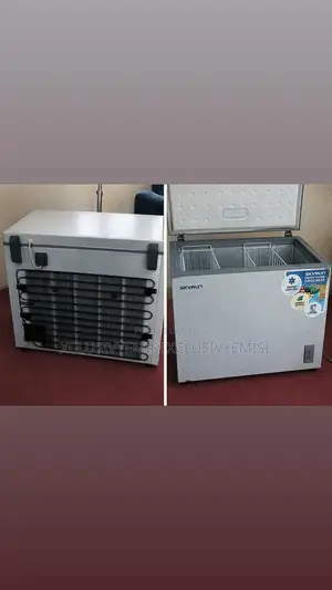 Neatly Used Skyrun Freezer