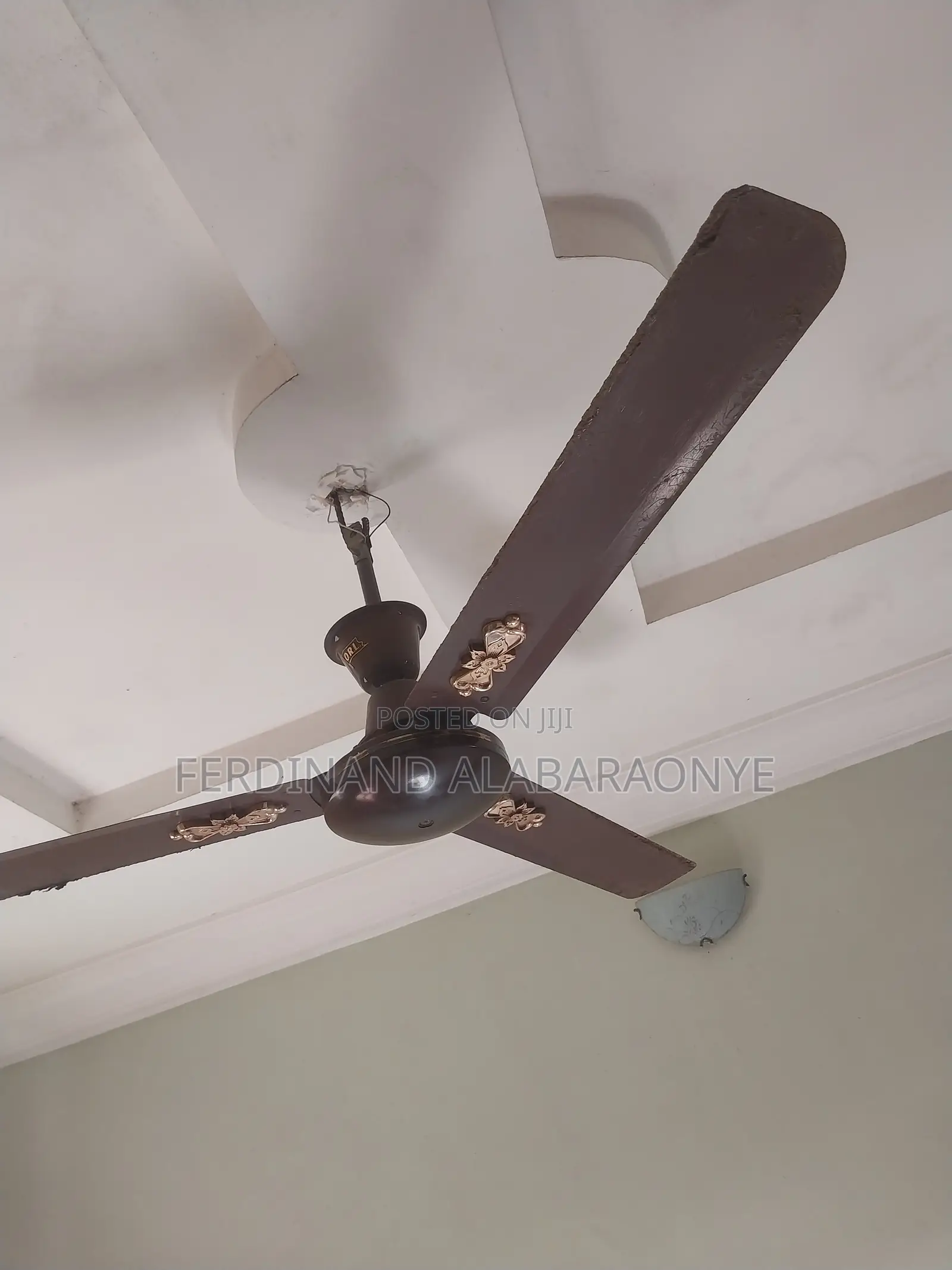 Standing and Ceiling Fans