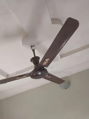 Standing and Ceiling Fans