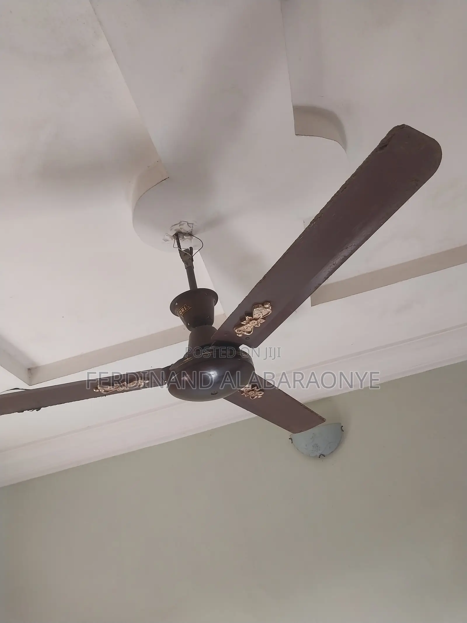 Standing and Ceiling Fans