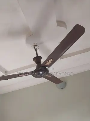 Standing and Ceiling Fans