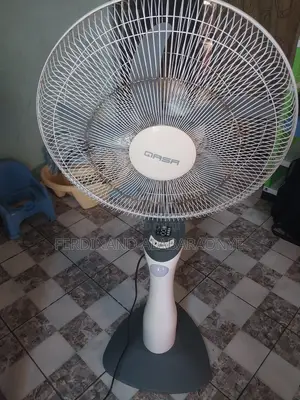 Standing and Ceiling Fans