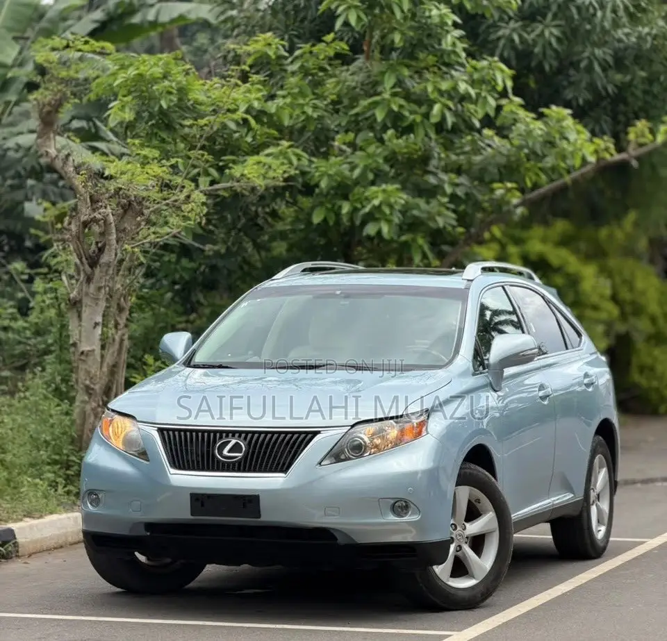 Lexus RX 2012 Blue