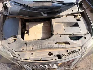 Lexus RX 350 2010 Gray