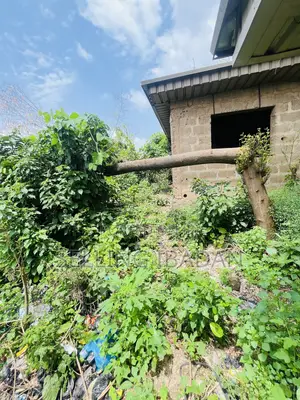 Buy and Build Land With Survey