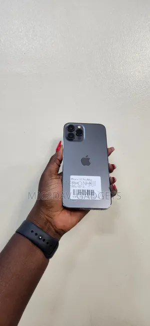 Apple iPhone 12 Pro Max 256 GB Gray