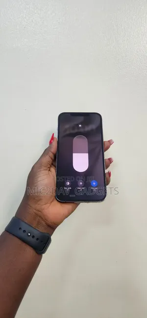 Apple iPhone 12 Pro Max 256 GB Gray