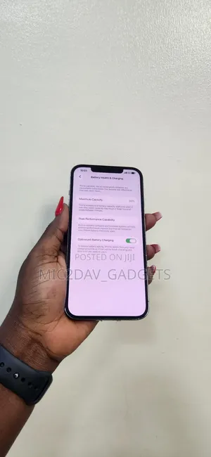 Apple iPhone 12 Pro Max 256 GB Gray