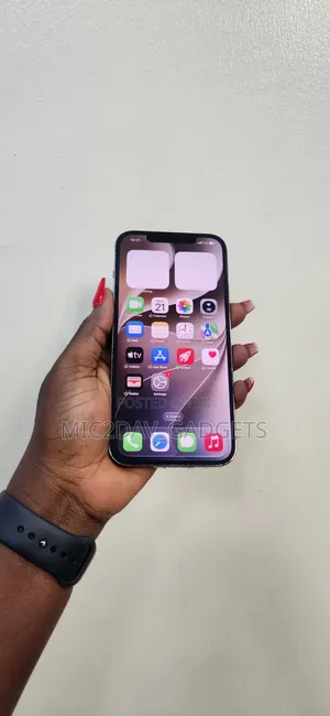 Apple iPhone 12 Pro Max 256 GB Gray