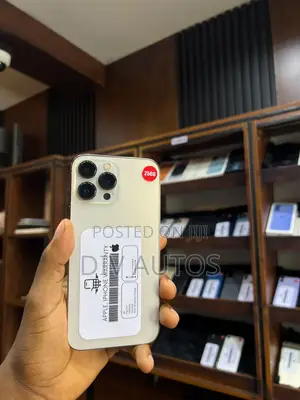 Apple iPhone 13 Pro Max 256 GB Gold