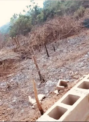 Plots of Land 4 Sale at Adebiyi Off Oloola Abekoko, Odo-Ona Kekere Ib