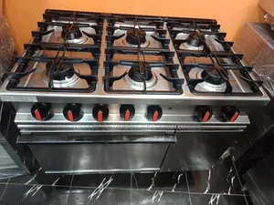 6 Burner Industrial Gas Cooker With Gas Oven