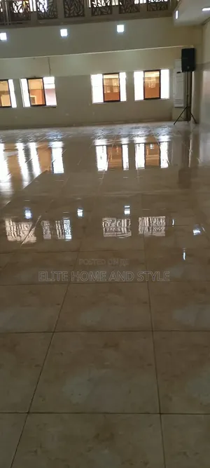 Professional Cleaning