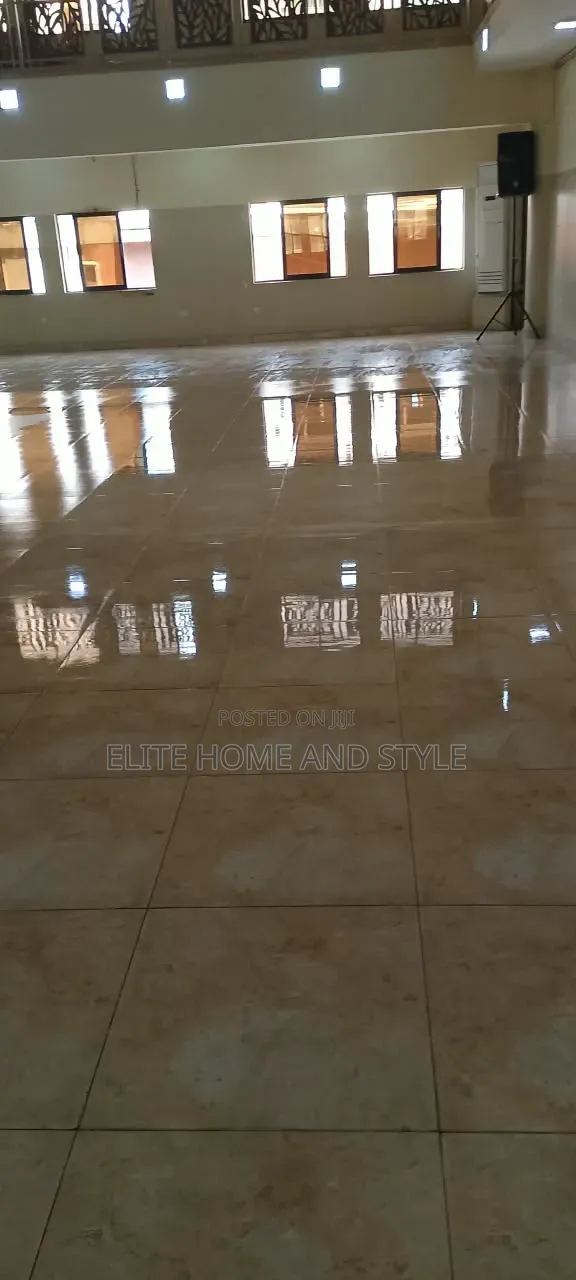 Professional Cleaning