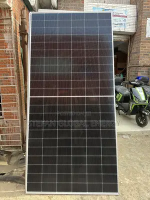 613w Jinko Bifercial Panel