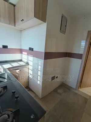 2bdrm Penthouse in Ologolo for rent