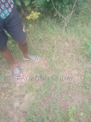 Landed Property