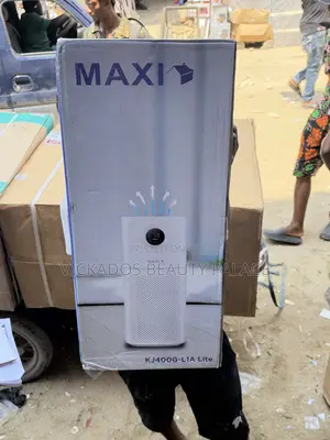 Maxi Air Purifier