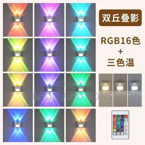 Wall Censor Light