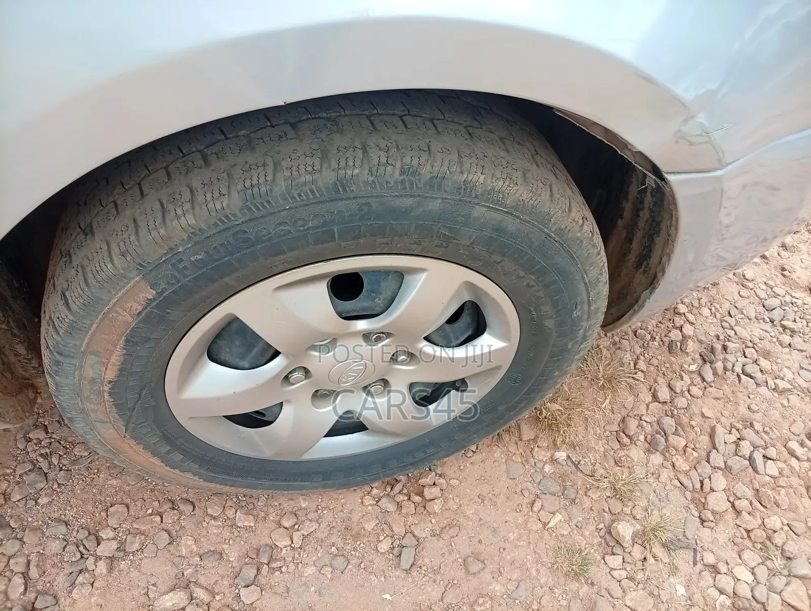 Kia Sedona 2010 Silver