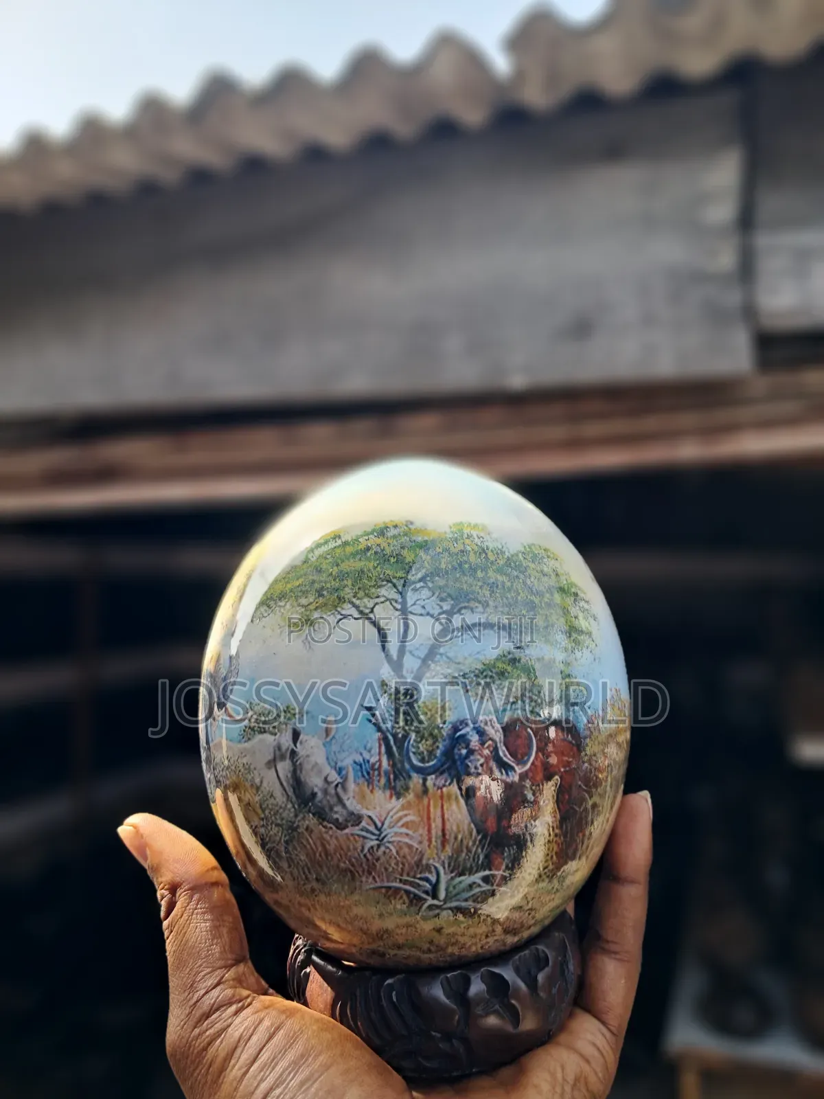 African Ostrich Eggs