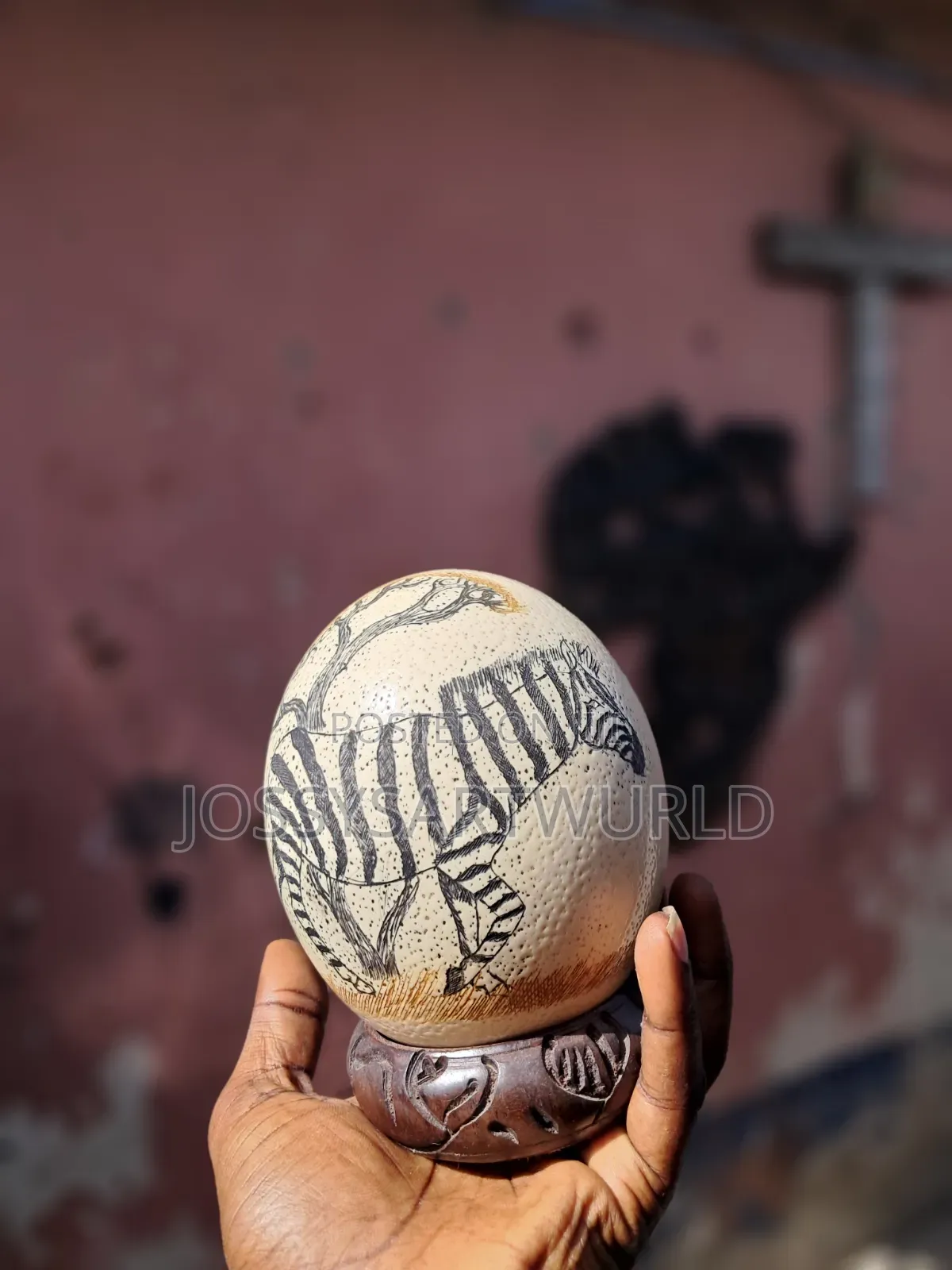 African Ostrich Eggs