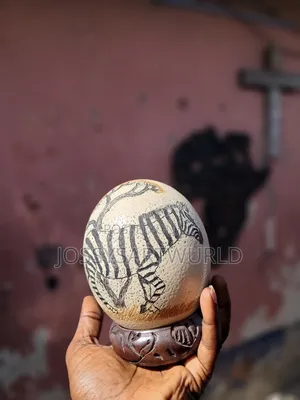 African Ostrich Eggs