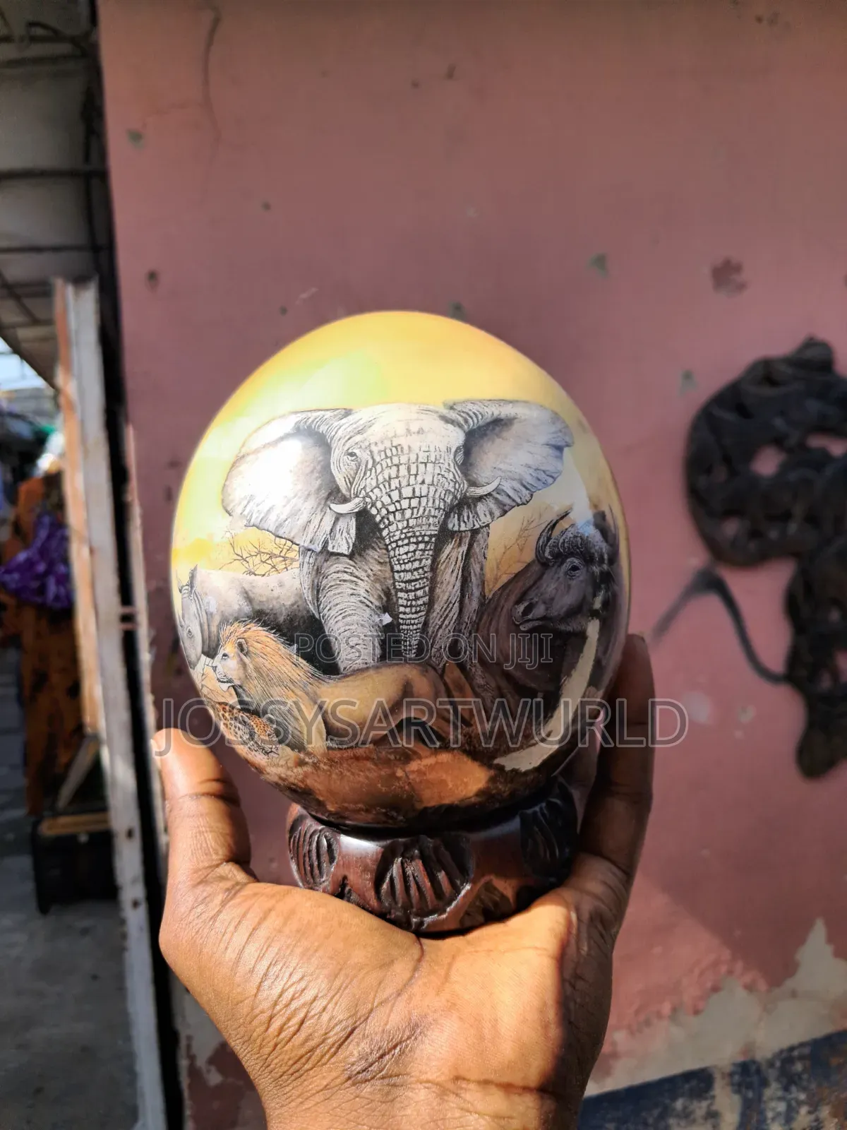 African Ostrich Eggs