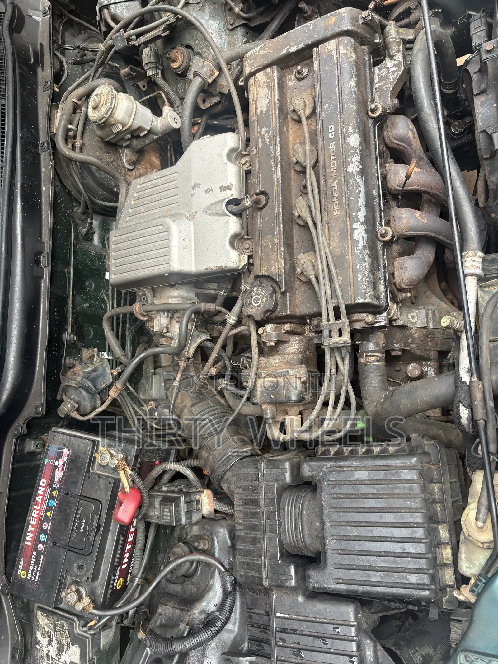 Honda CR-V 2001 Green