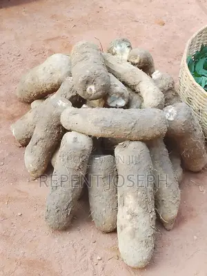 Sure White Yams