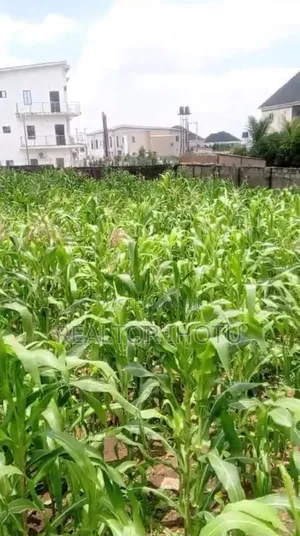 1,000sqm Residential Plot of Land in Dape District, Life Camp, Abuja