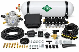 6 Plug CNG Conversion Kit for Vehicle Conversion