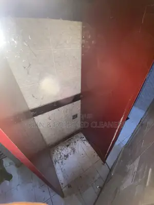 Professional Deep Cleaning