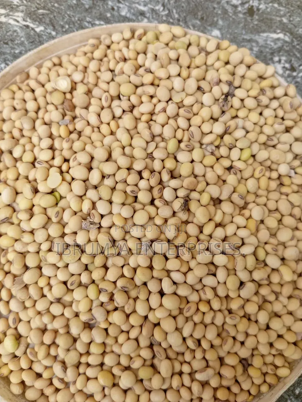 Soya Beans Available for Sale in Commercial Quantity