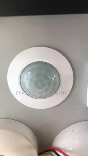 Motion Sensor Light