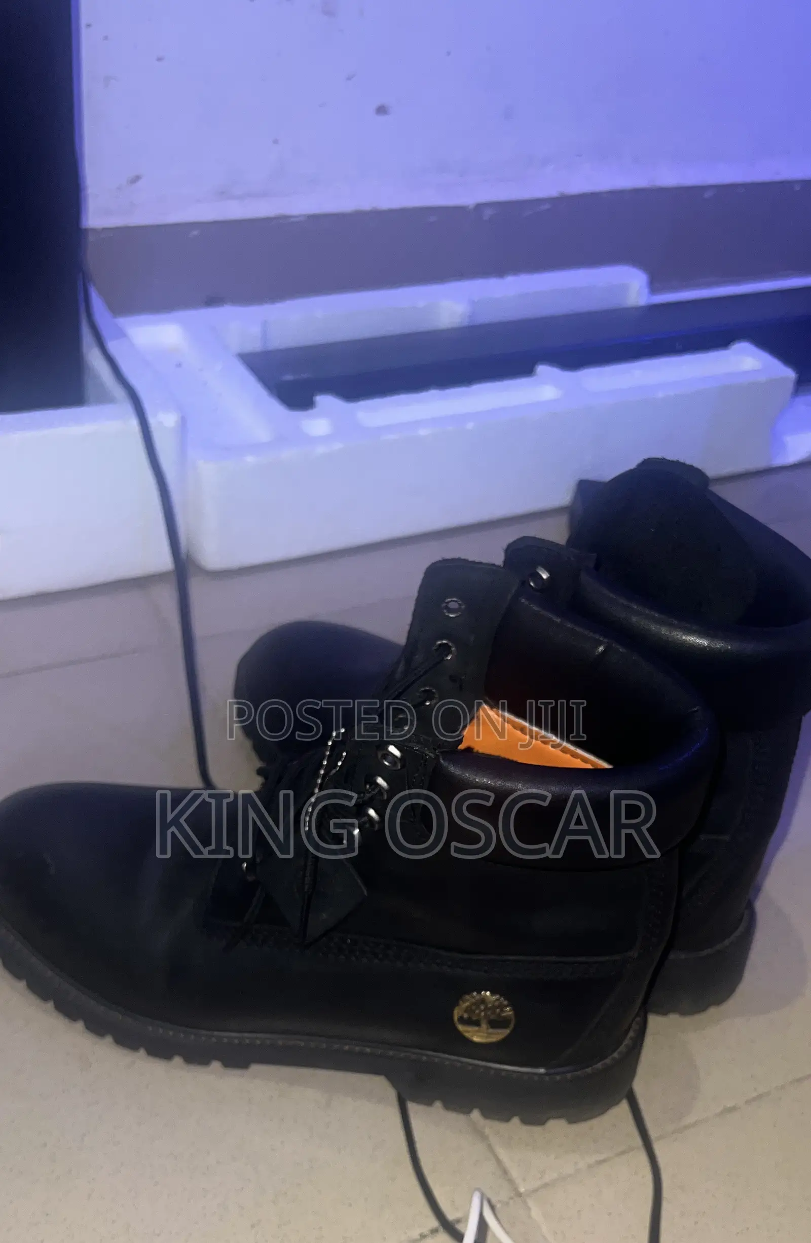 Timberland Shoe