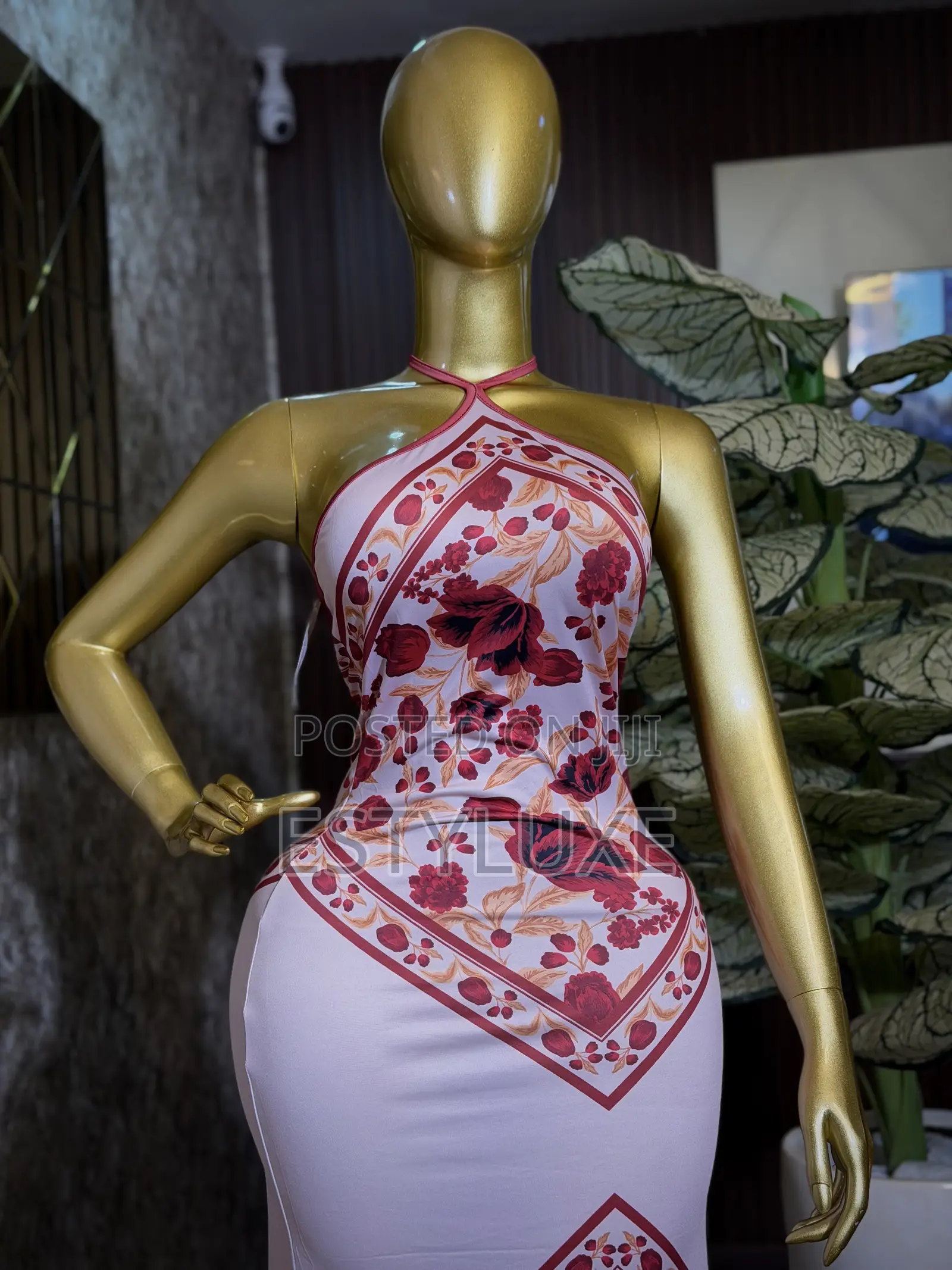Dinner Gown