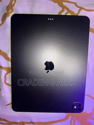 Apple iPad Pro 13 (2025) 256 GB Gray