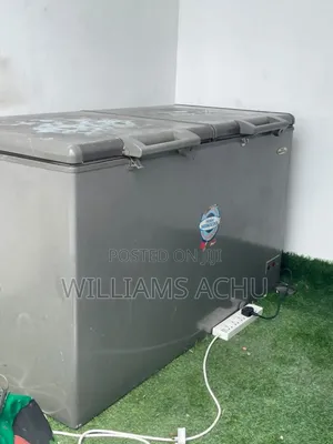 Double Door Deep Freezer