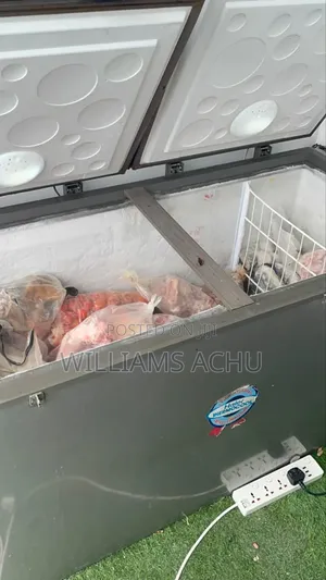 Double Door Deep Freezer
