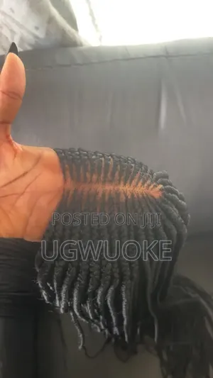 Beautiful Braided Wig