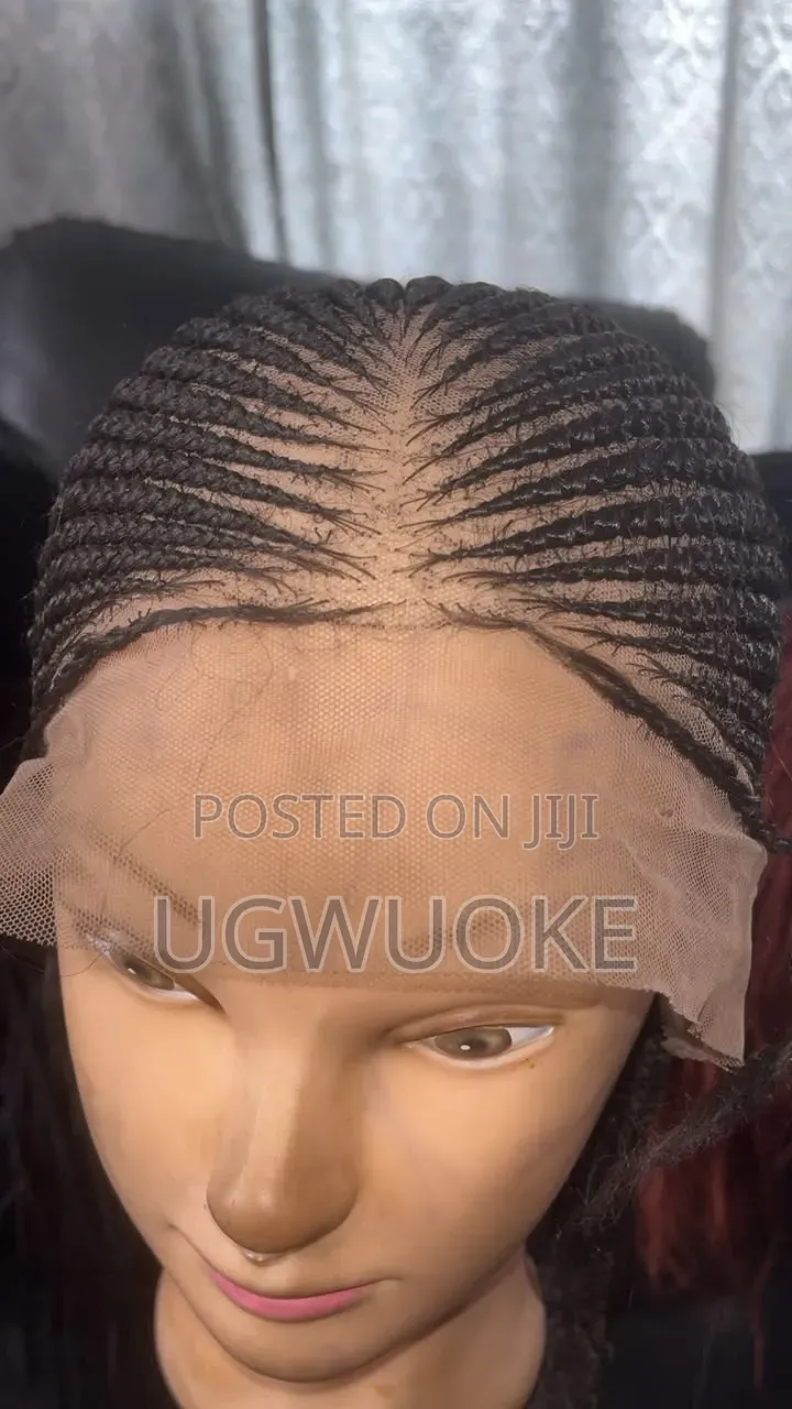 Beautiful Braided Wig
