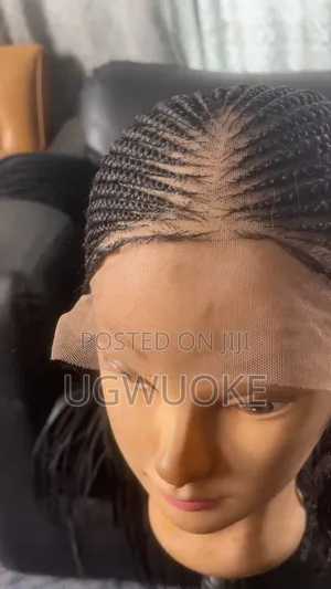 Beautiful Braided Wig