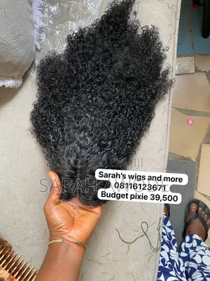 Budget Pixie 39,500
