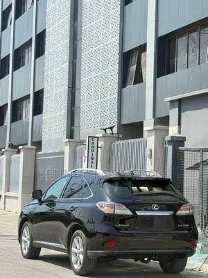 Lexus RX 350 2010 Black